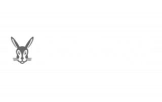 Vaillant